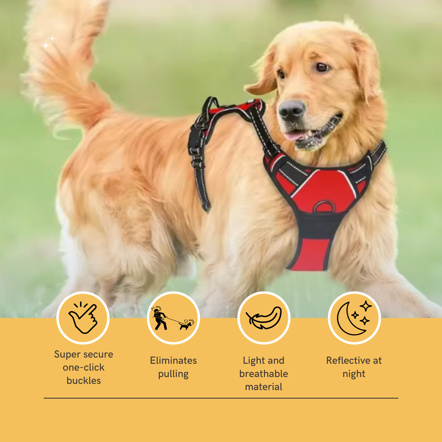 The Paws and Claws Pet Harness