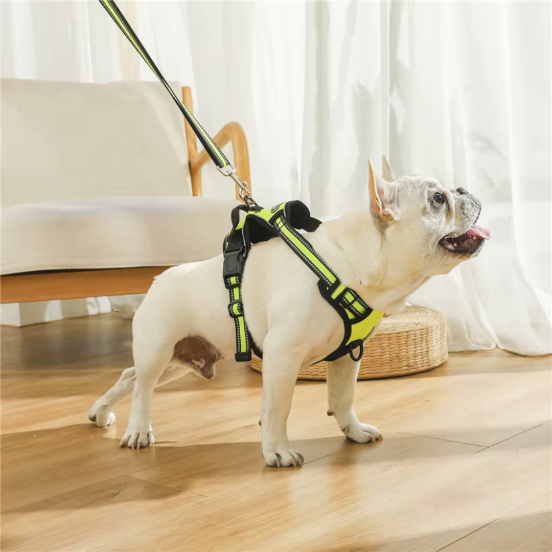 The Paws and Claws Pet Harness